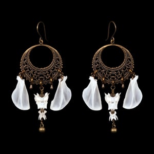 Scapulae and Vertebrae Bone Earrings - Eysha