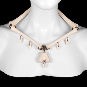 Fawn Bone Necklace and Leash - Mara