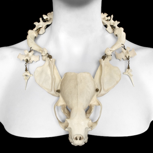 Skull and Vertebrae Bone Necklace - Vydra - Etsy