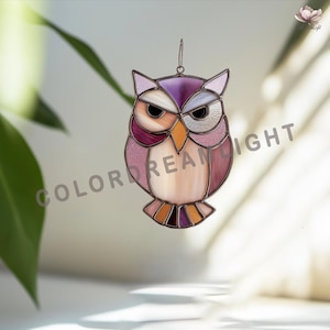 04-33SI Sarcastic Owl Stained Glass Pattern, Funny Quirky Bird Suncatcher Template, Beginner Friendly Glass Art, Instant Download PDF SVG