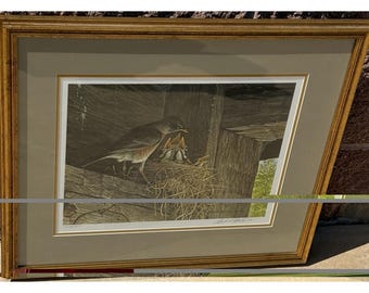 Robins At The Nest Robert Bateman Kunstdruck gerahmt 564/950
