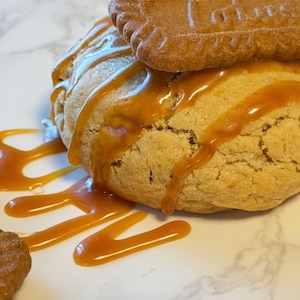 Cookie Biscuff  Chocolate Chip Premium Soft Gourmet Handmade Best ingredients