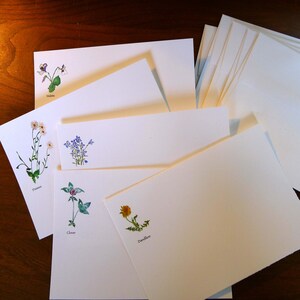5 Frühlings-Wildblumen-Karten aus original Aquarellfarben