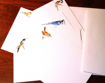 Aquarell Vogel Notizkarten B - 5er Set