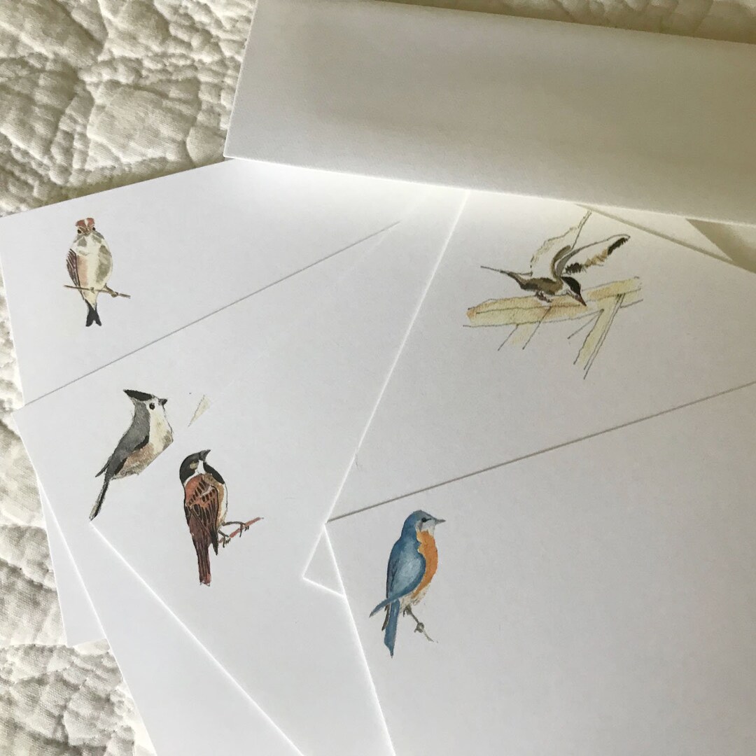 Watercolor Bird Notecards A - Set of 5 - Etsy