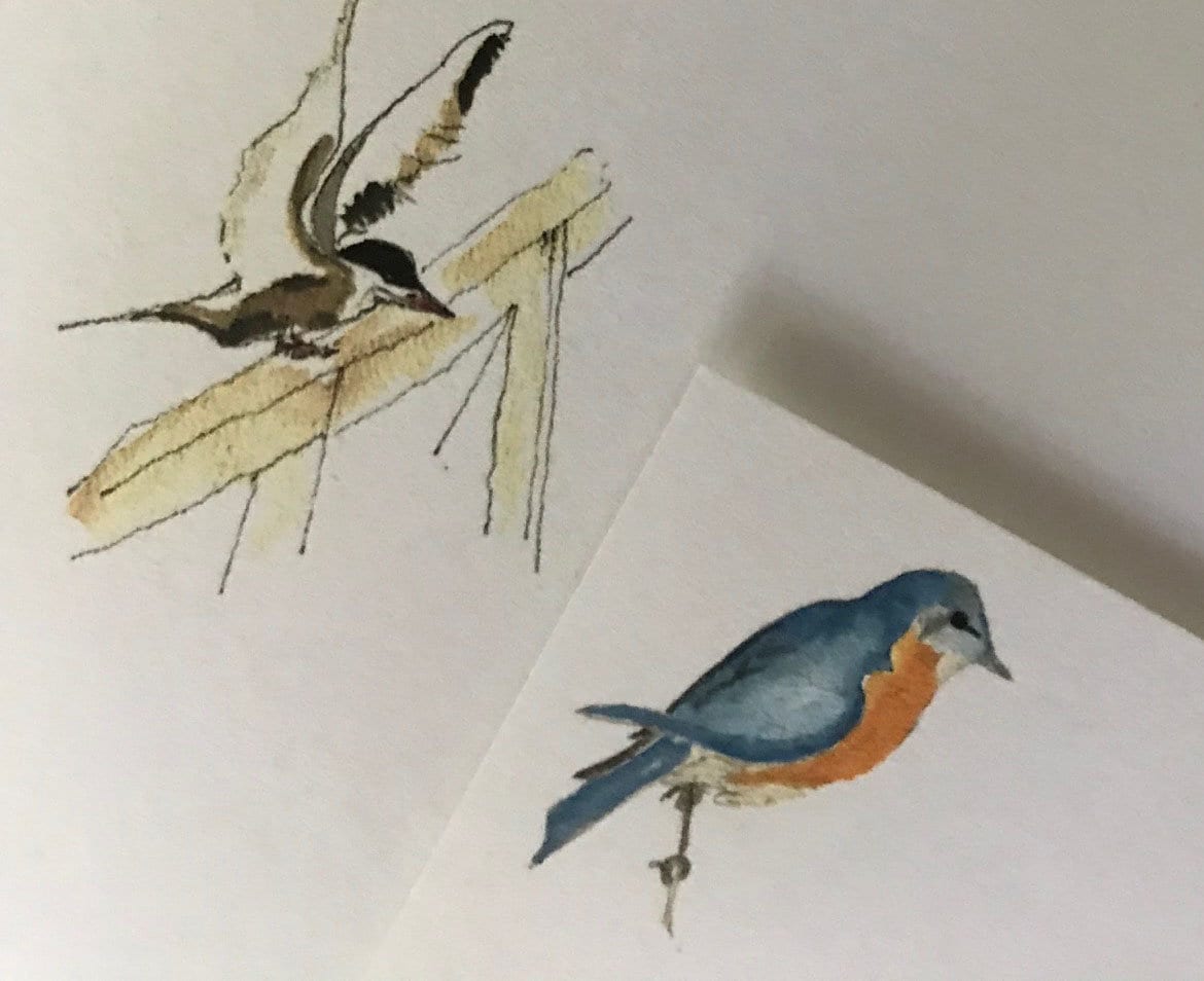 Watercolor Bird Notecards A - Set of 5 - Etsy