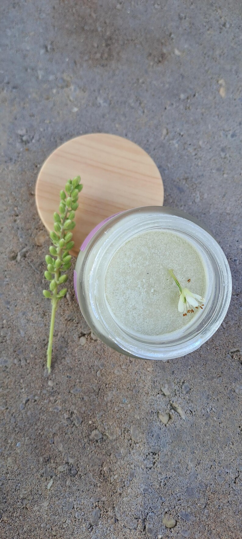 Puede incluir: Un tarro de vidrio transparente con una sustancia verde claro, una peque&ntilde;a flor blanca y una tapa de madera. Un tallo de planta verde con brotes est&aacute; al lado del tarro. El tarro est&aacute; sobre una superficie gris.