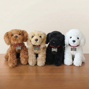 May include: Four plush dog toys in brown, tan, black, and white colours. Each stuffed animal features curly fur, a red collar, and a silver bone-shaped tag hanging from the collar. The toys are positioned in a row, sitting upright on a surface.