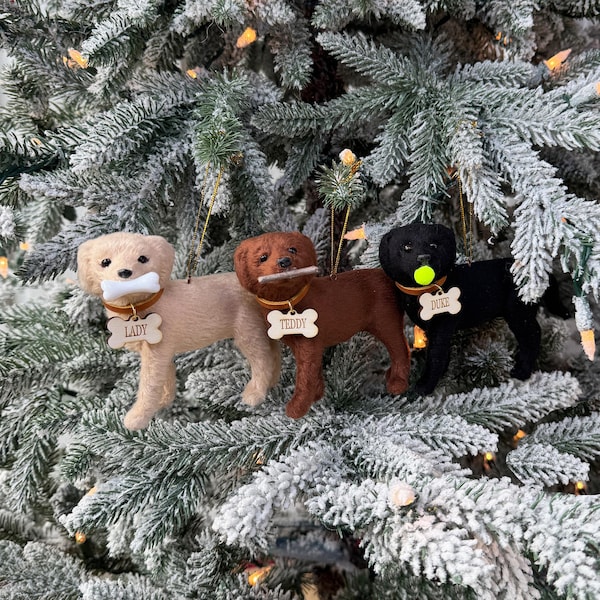 Labrador Retriever Dog Ornament – Custom Name & Fetch Design