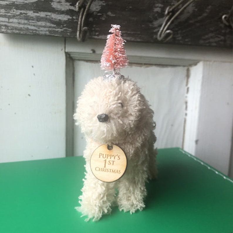 Puppy