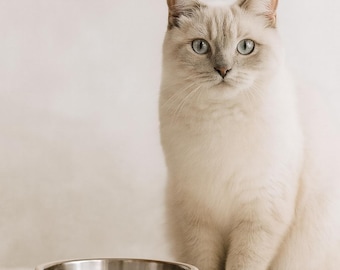 Modern Stainless Steel Pet Bowl | 18oz Minimalist Food - Water Dish for Cats & Dogs