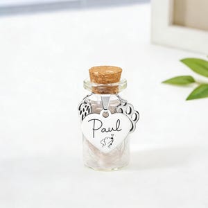 Pot souvenir en fourrure d'animal de compagnie avec portrait, pot commémoratif en poils d'animal de compagnie personnalisé, cadeaux en cas de perte d'un animal de compagnie, cadeau souvenir personnalisé chien, cadeaux commémoratifs chien chat image 5