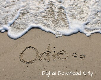 Personalized Pet Beach Memorial| DIGITAL DOWNLOAD ONLY | Dog Loss Gifts | Pet Sympathy Gift | Pet Loss | Rainbow Bridge