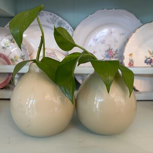 May include: Two cream-colored, onion-shaped vases hold green leafy plants. The vases sit on a white surface, with a collection of decorative plates in the background. The plates have floral designs.