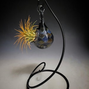 May include: A decorative air plant holder featuring a dark blue glass orb with a spiral design, suspended from a black metal stand. The orb is filled with a vibrant, yellow-green air plant. The stand has a circular base and a curved, elegant design.