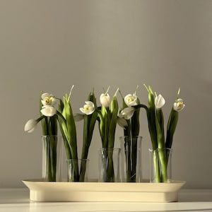 Puede incluir: Una bandeja rectangular crema sostiene seis jarrones de vidrio transparente, cada uno con una flor blanca y tallos verdes. El arreglo está sobre una superficie blanca, con sombras suaves.