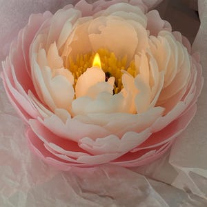 Puede incluir: Una vela con forma de peonía con pétalos rosas y blancos y un centro amarillo. La vela está encendida, con una pequeña llama visible en el centro. La vela está rodeada de papel de seda.