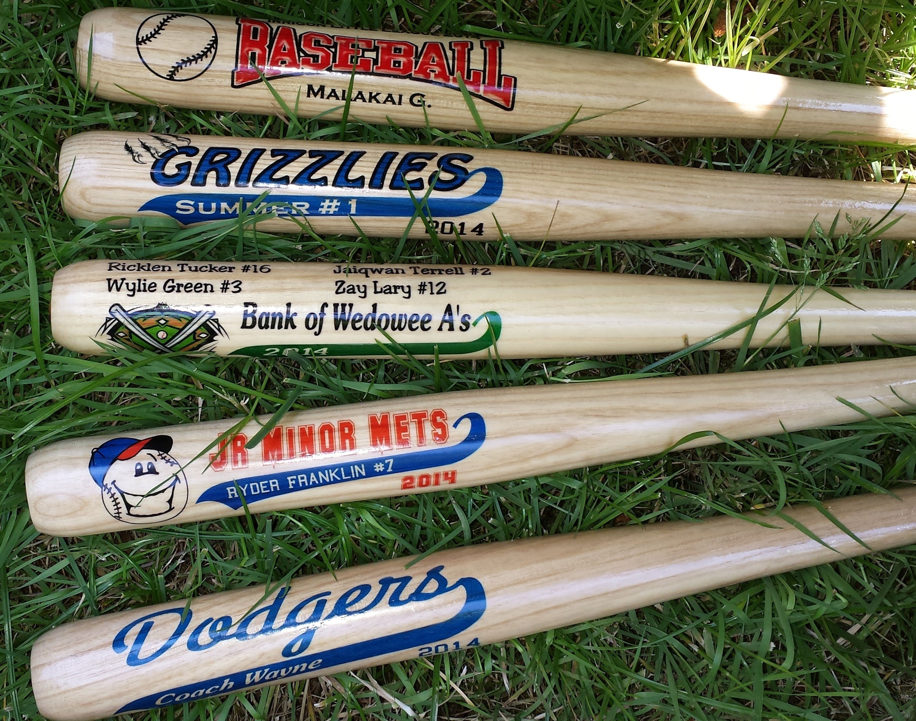 Custom Mini Baseball Bat Rays Individually Personalized Bat Etsy
