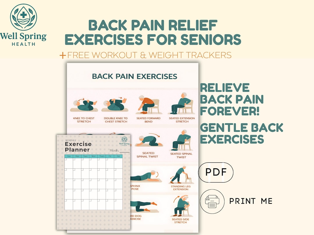 Back Pain Relief Exercises for Seniors Lower Back Stretching Chart ...