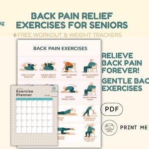 Back Pain Relief Exercises for Seniors Lower Back Stretching Chart Sciatica Relief Guide Physical Therapy Home Workout, Senior Mobility PDF