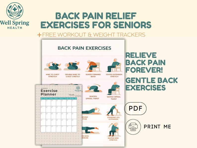 Back Pain Relief Exercises for Seniors Lower Back Stretching Chart ...