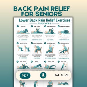 May include: A digital chart titled Back Pain Relief For Seniors featuring twelve illustrated exercises with instructions. The document includes a PDF download button and is labeled A4 size. The layout uses teal text and graphics on a white background.