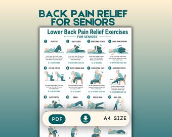 Back pain relief for Seniors lower back exercises for Elderly back recovery stretches for mobility sciatica relief