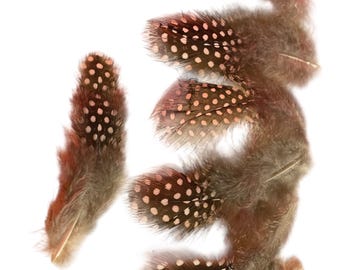 Guinea hen feathers 30 piece, Spotted feathers, Loose Craft feathers,