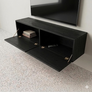 May include: A black wall-mounted entertainment center with two compartments and hinged doors. The doors are open, revealing a stack of books and a remote control. The cabinet has brass-colored hinges and is mounted below a flat-screen television.