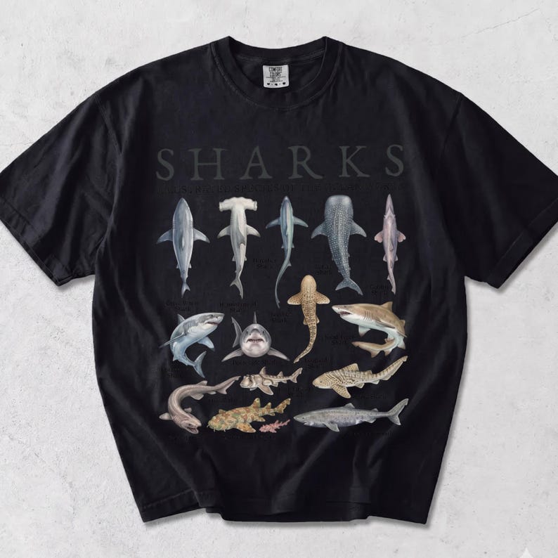 May include: A black crew neck t-shirt featuring the word SHARKS printed in large letters at the top, followed by a detailed graphic illustration of various shark species arranged in rows, including hammerhead, whale, and tiger shark varieties.