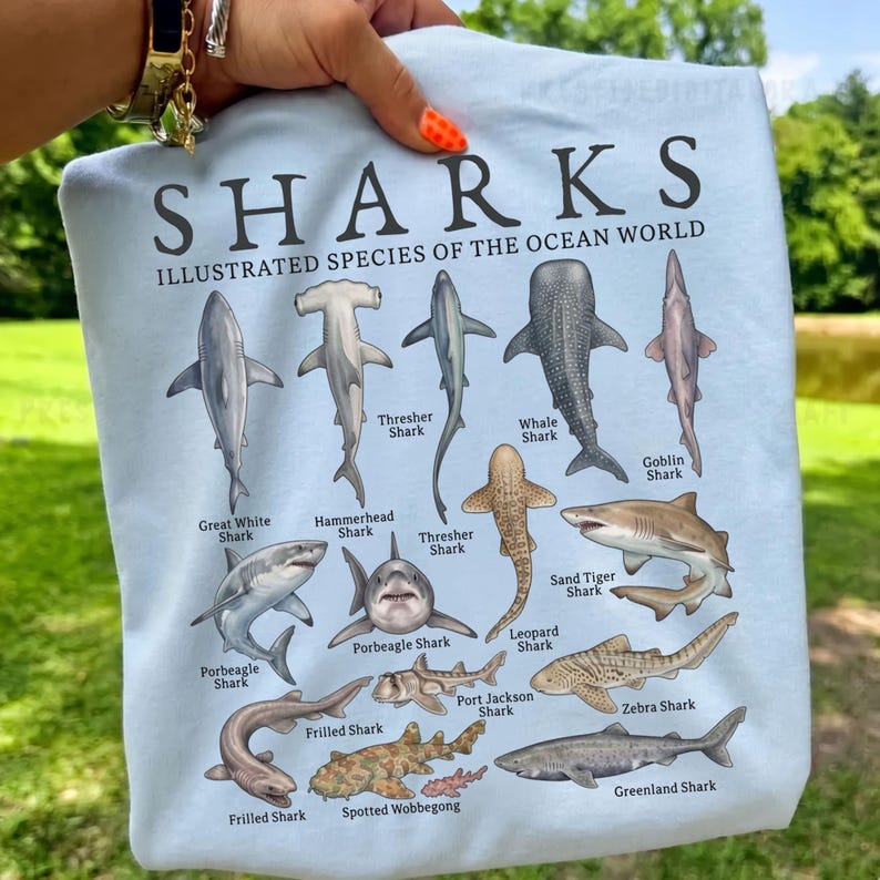 May include: A light blue t-shirt featuring the text SHARKS ILLUSTRATED SPECIES OF THE OCEAN WORLD and detailed illustrations of various shark species including the Great White, Hammerhead, Thresher, Whale, Goblin, Porbeagle, Sand Tiger, Leopard, Frilled, Port Jackson, Zebra, Spotted Wobbegong, and Greenland shark.
