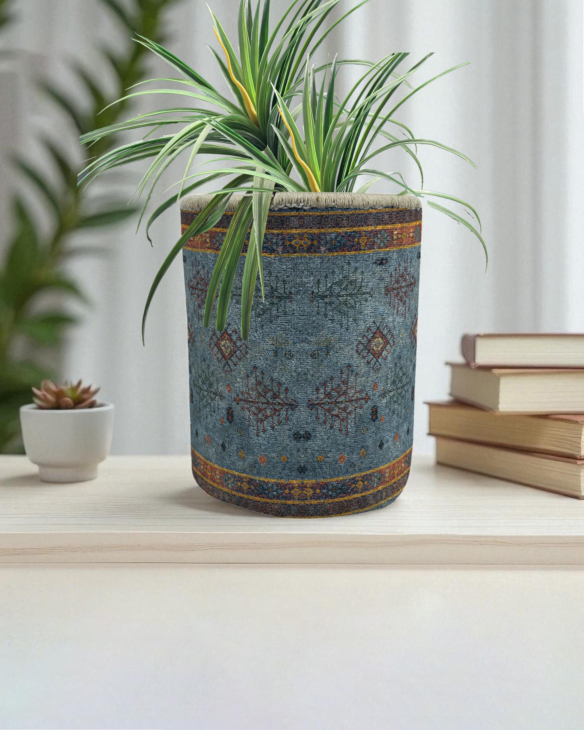 buy aloe vera plant near me Aloe Vera