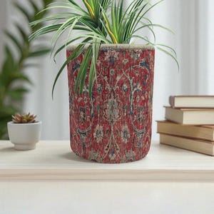 Könnte beinhalten: Ein zylindrischer Blumentopf mit rotem Muster, der eine grüne Pflanze mit langen, schlanken Blättern enthält. Der Topf steht auf einer hellen Holzoberfläche. Links befindet sich ein kleiner weißer Topf mit einer Sukkulente.