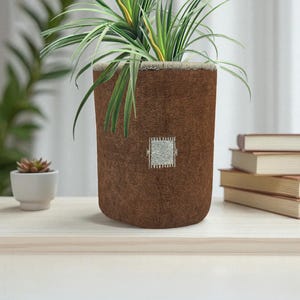 Könnte beinhalten: Ein brauner, zylindrischer Blumentopf mit einem quadratischen, silbernen Stickmuster. Der Topf enthält eine grün-weiße Pflanze. Der Topf steht auf einer hellen Holzoberfläche. Links befindet sich eine kleine Sukkulente in einem weißen Topf.