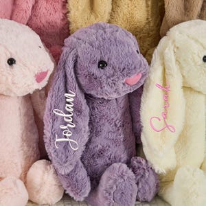 カスタムぬいぐるみ、イースターギフト、幼児向けギフト、名前刺繍入りぬいぐるみウサギ、保育園の装飾、ベビーシャワーギフト、新生児ギフト