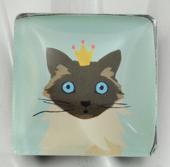 Golden Brown Light Brown Cats Toxoplasmosis Golden Brown Light Brown Cats Toxoplasmosis