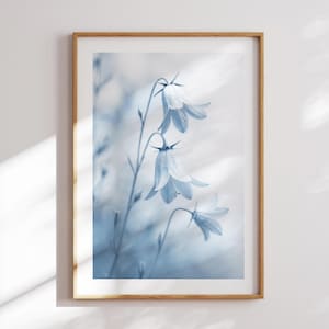 Blue Bellflower Botanical Print – Instant Download Floral Wall Art, Modern Nature Decor, Minimalist Blue Flower Poster for Bedroom or Living