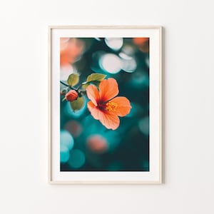 Hibiscus Flower Wall Art Printable – Tropical Orange Bloom Photography for Boho, Botanical or Summer Home Décor