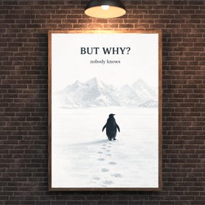 May include: A framed art print featuring a penguin walking in the snow, with the text "BUT WHY? nobody knows" above. The artwork has a minimalist style with a black and white color scheme, and a mountain range in the background.