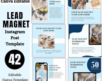 Lead Magnet Instagram Post Template, Canva Editable Design (42)
