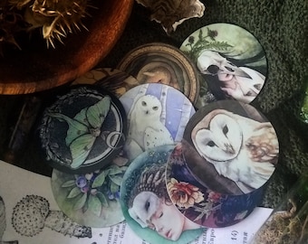 Imanes redondos de 2,5" - Fantasy Nature Fairies Owls Ravens Mushrooms and Luna Moth- ¡Varias opciones!