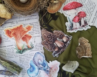 Finely made mushroom iron on patchesstick on patchesstickerplant patchesmushroom decorscrapbook decorappliques