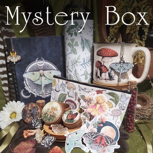 Mystery Box Fantasy and Nature Art Grab Bag Surprise Stickers, Mirrors, Prints, Bookmarks and so much More image 1