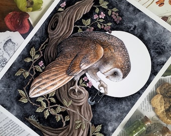 Barn Owl and Blackberries Print - 8x10 - Fine Art Print - Limited Edition - Spiritual - Spirit Animal - Nature - Witchy - Druid