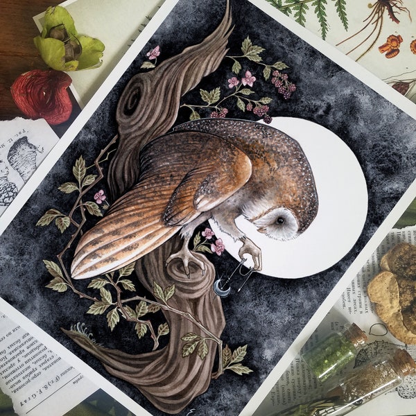 Barn Owl and Blackberries Print - 8x10 - Fine Art Print - Limited Edition - Spiritual - Spirit Animal - Nature - Witchy - Druid