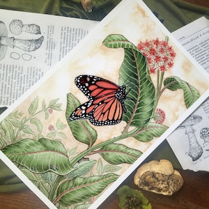 The Empress Tarot Print - Monarch Butterfly - Cards - Major Arcana - Watercolor Art - Divination