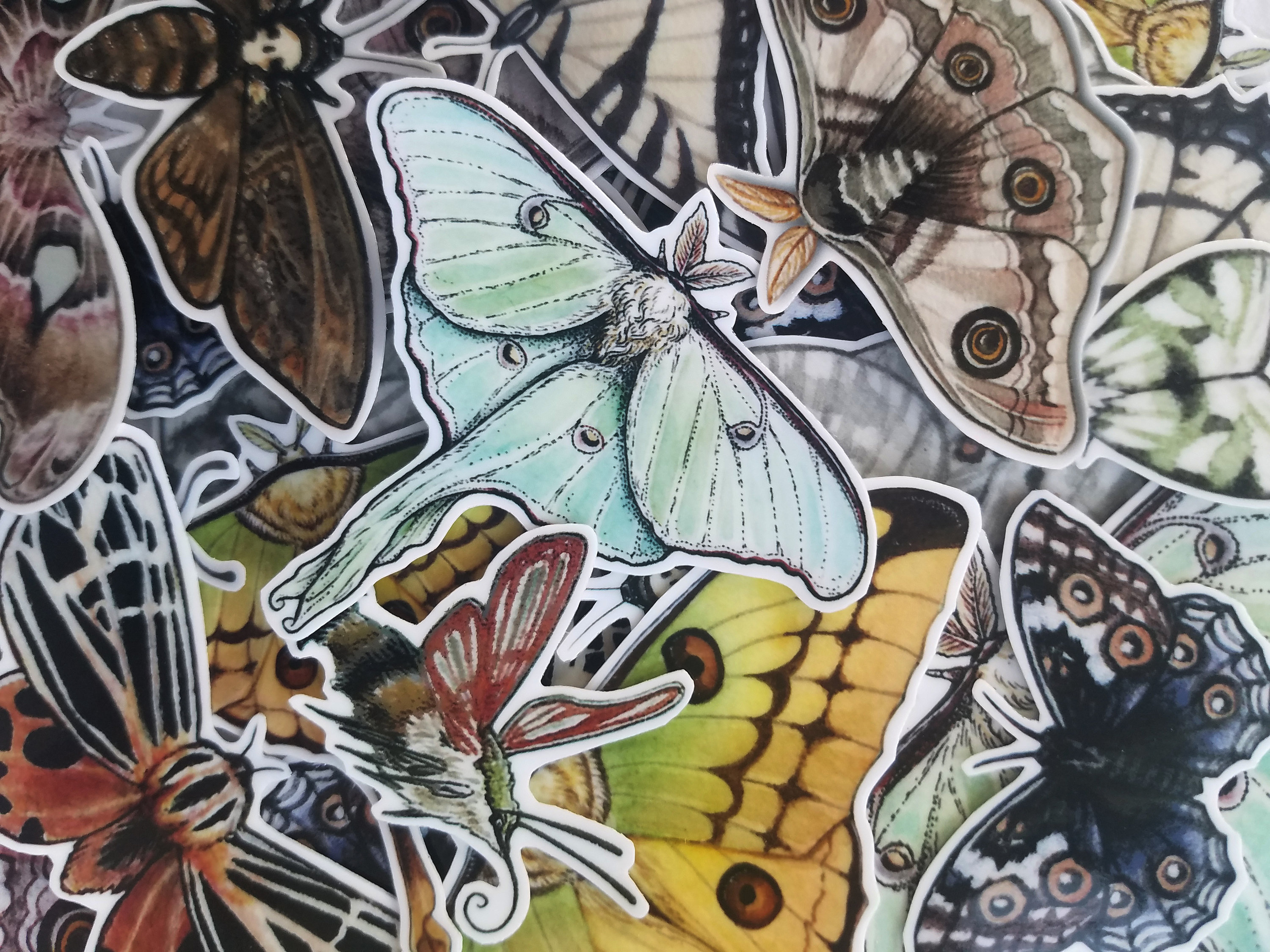 Moth and Butterfly Stickers - Luna - Emperor - Atlas - Tiger - Clearw…