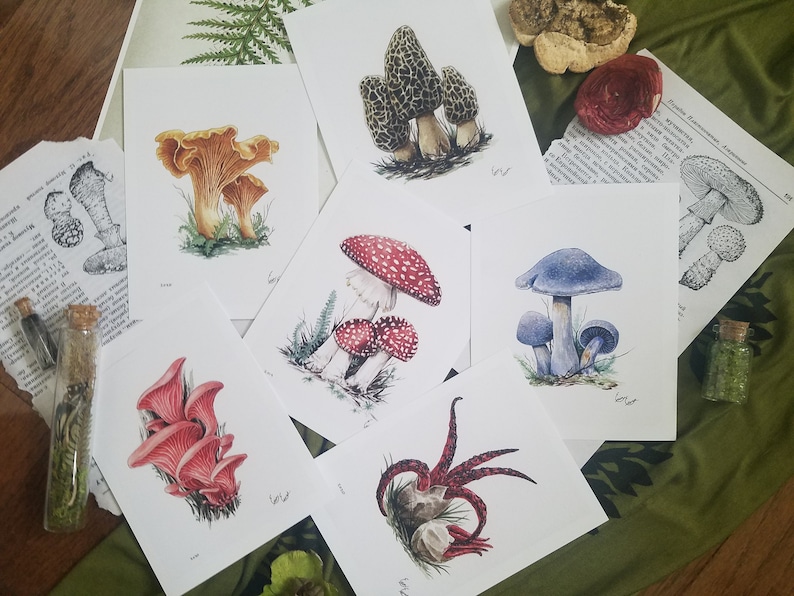 Mystery Box Fantasy and Nature Art Grab Bag Surprise Stickers, Mirrors, Prints, Bookmarks and so much More image 6