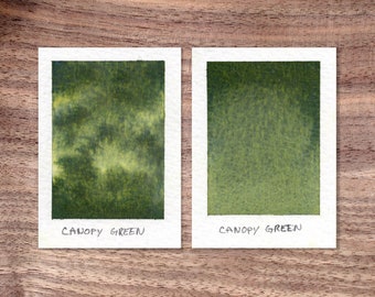 Canopy Green - Forest Green Handmade Watercolor Paint - Separating - Granulating - Half Pan - Dot Card