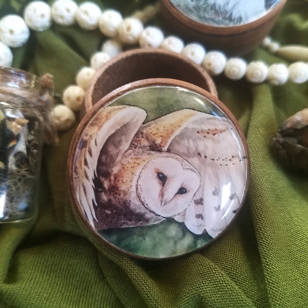 Barn Owl in Flight- Dream Box - Keepsake - Trinket - Jewelry